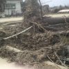 Thumbnail of related posts 183